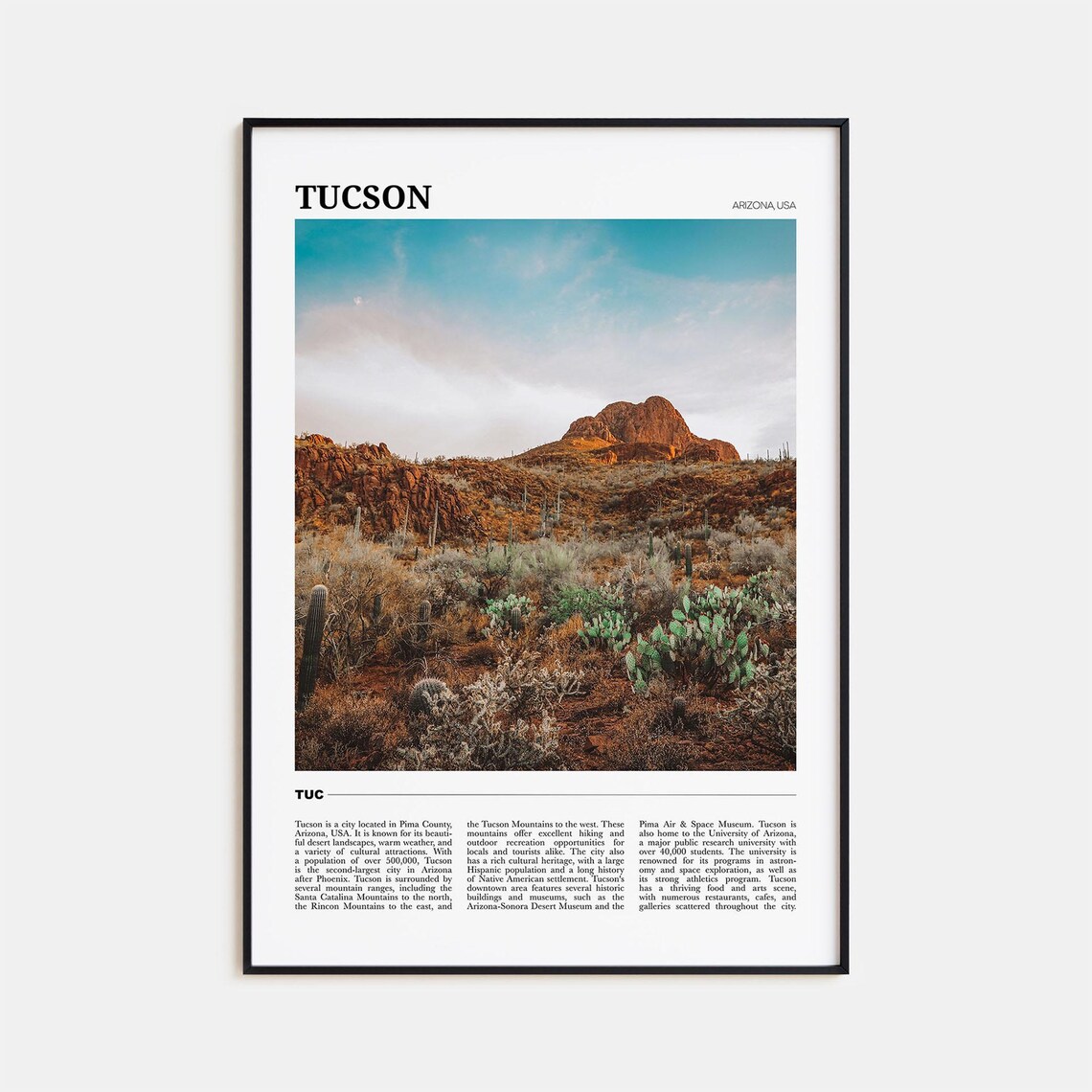 Tucson Arizona Desert Cactus Mountain Scenic No 3 Travel Poster