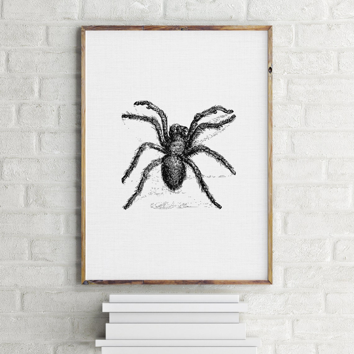 Tarantula Spider Engraving Sketch Vintage Creepy Gothic Wall Art - Image 4