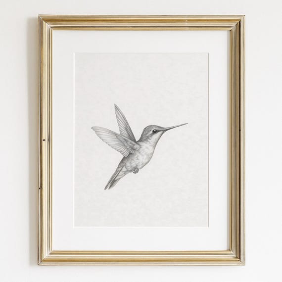 Hummingbird Sketch Wall Art Vintage Bird Nursery Print Antique Illustration Neutral Minimalist Decor Rustic