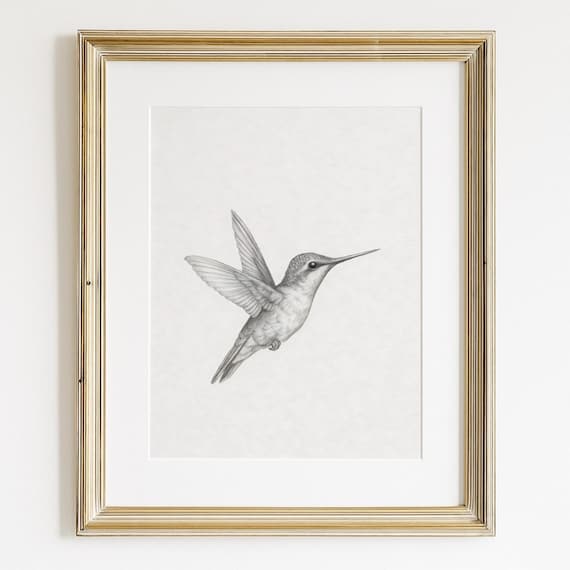 Vintage Hummingbird Pencil Sketch Minimalist Wildlife Art Poster