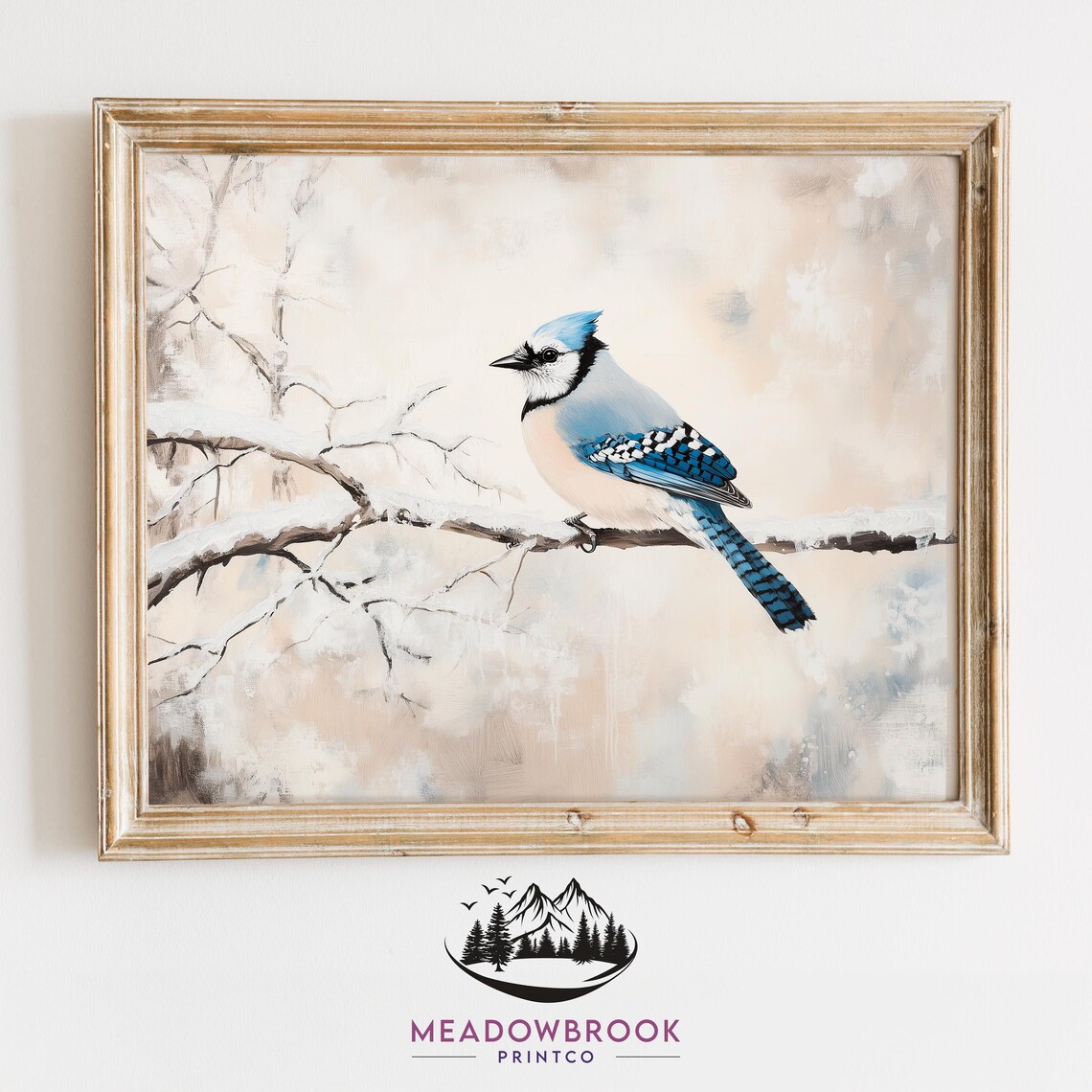 Blue Jay On Frosty Pine Branches, Rustic Vintage Art Print