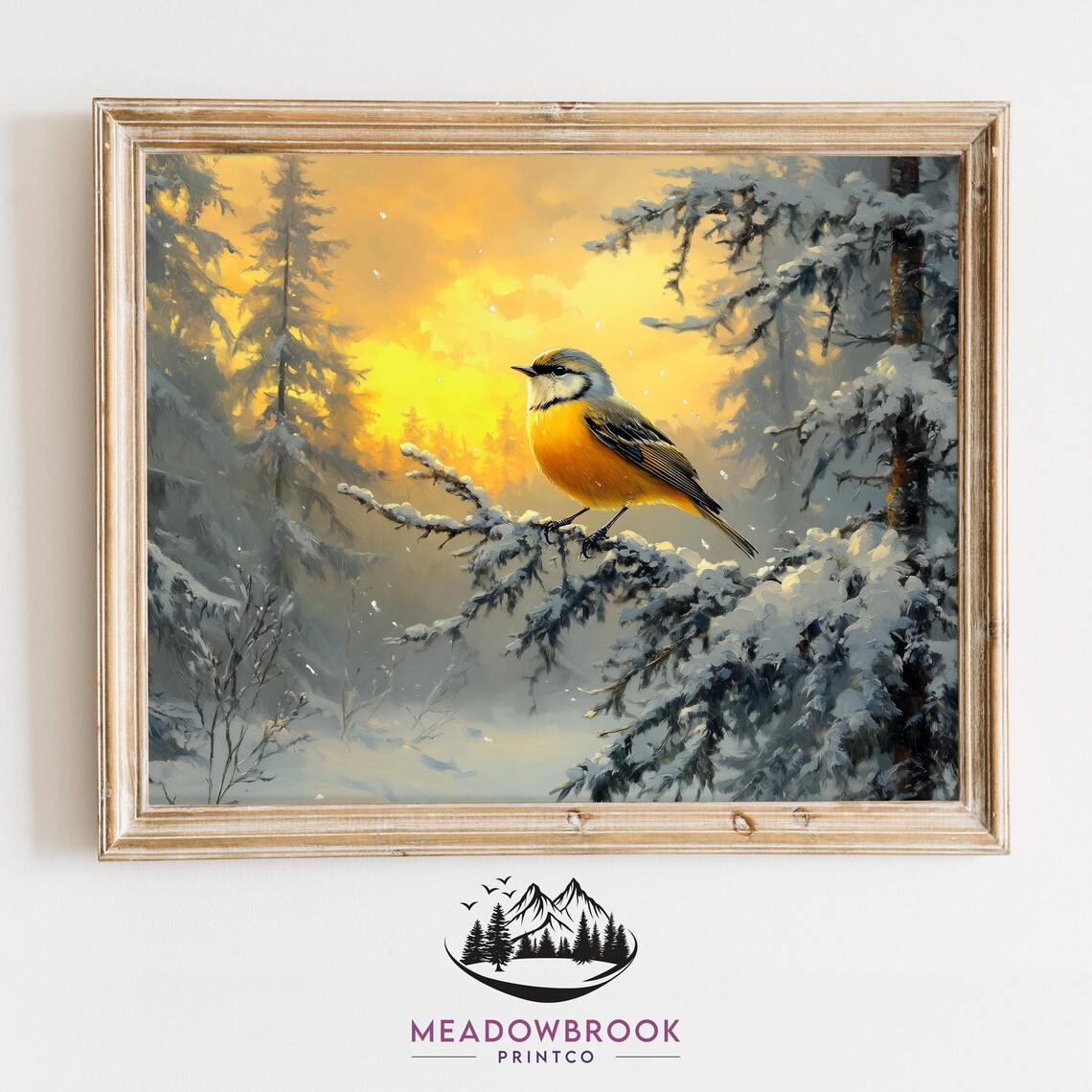 Goldcrest Bird on Snowy Evergreen Branch Golden Sunset Winter Poster