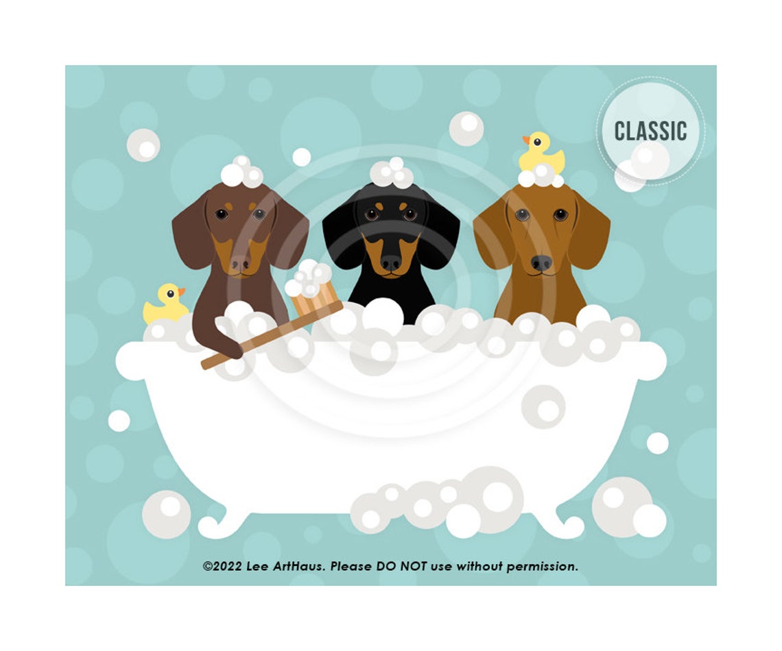 Three Dachshunds Bubble Bath Teal Brush And Duckies Cute Dog Poster