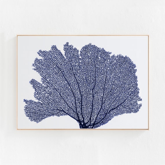 Sea Coral - Nautical Wall Art