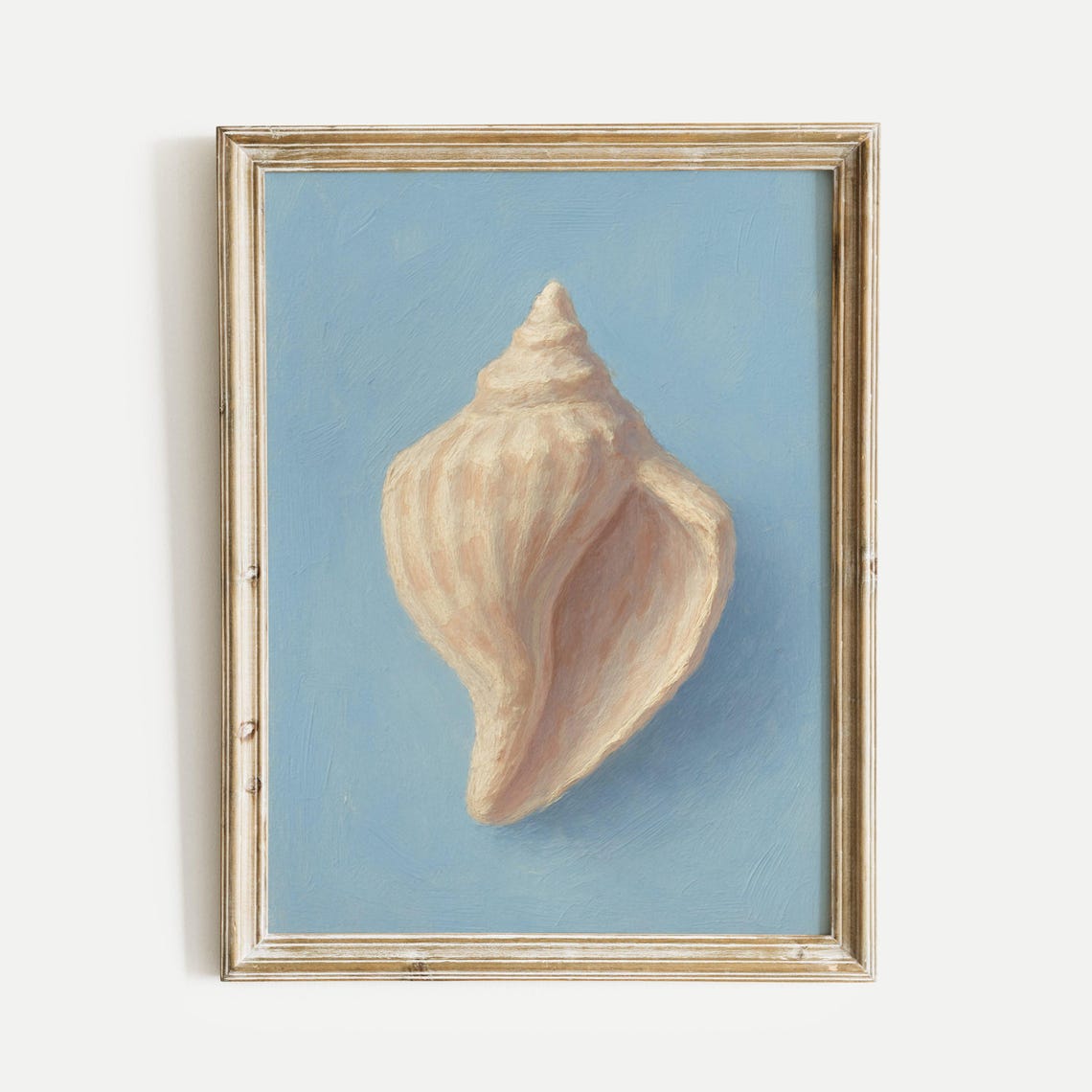 Elegant Seashell Still Life Painting On Soft Blue Background Poster