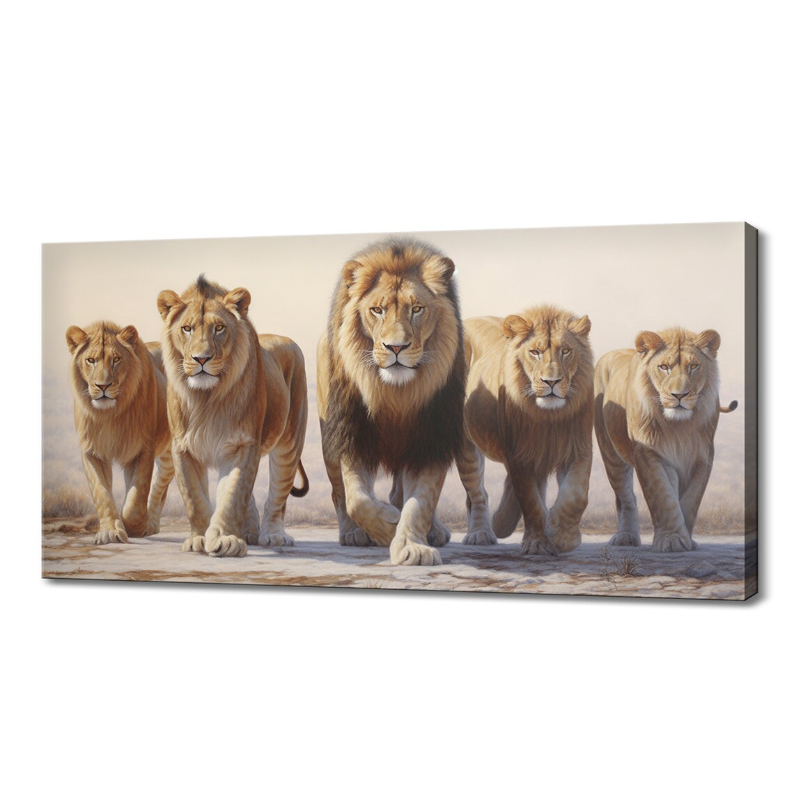 Five Male Lions Walking Together Golden Savanna Pride Wildlife Wall Art Print