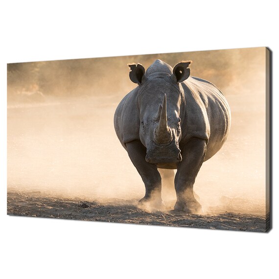 Powerful Rhino Charging Dust African Safari Golden Light Wildlife Wall Art Print