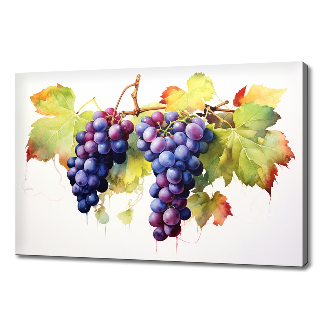 Purple Grape Clusters On Vine Watercolor Vineyard Harvest Poster