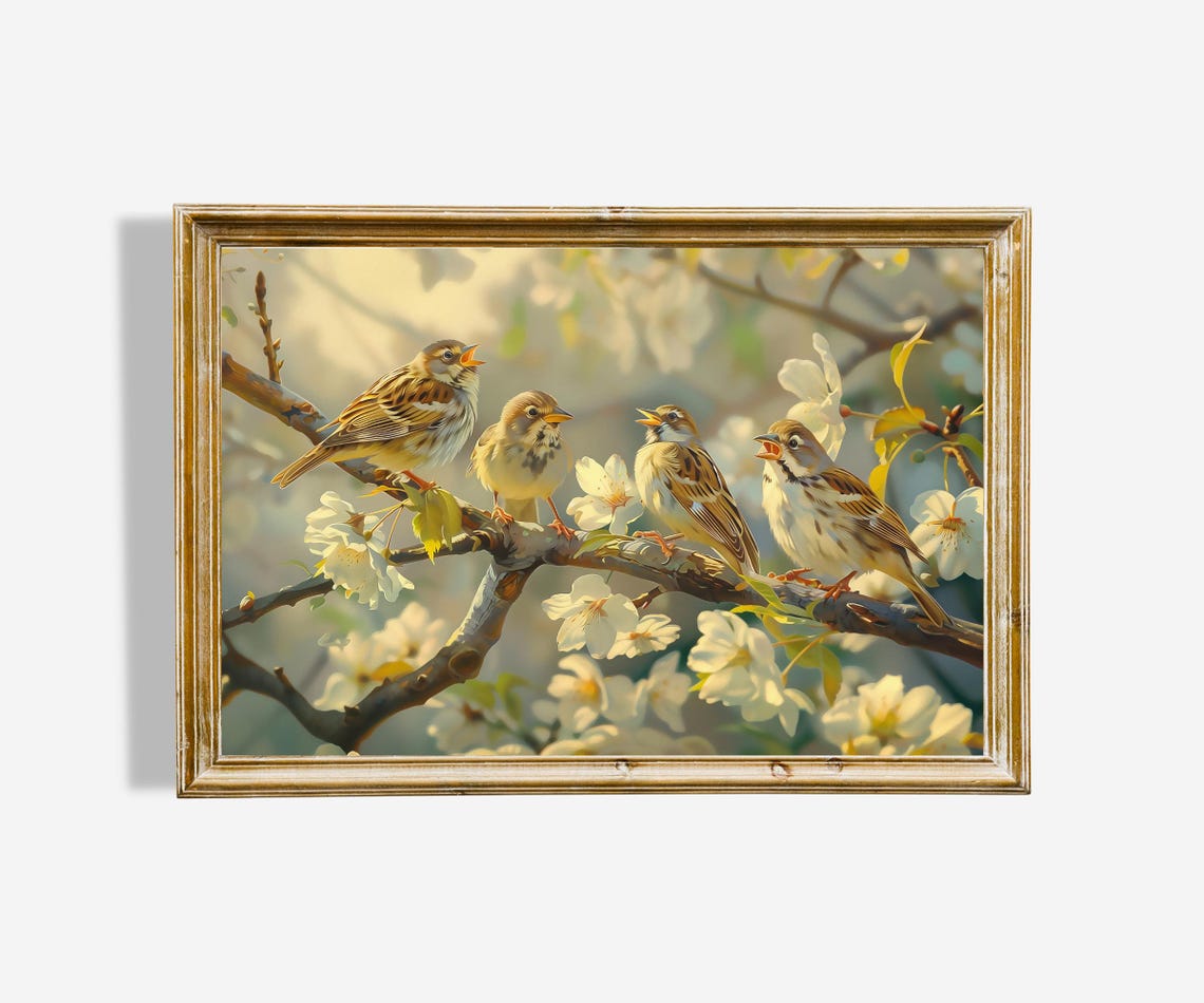 Four Sparrows on Blossoming Branch Spring Songbird Art Poster
