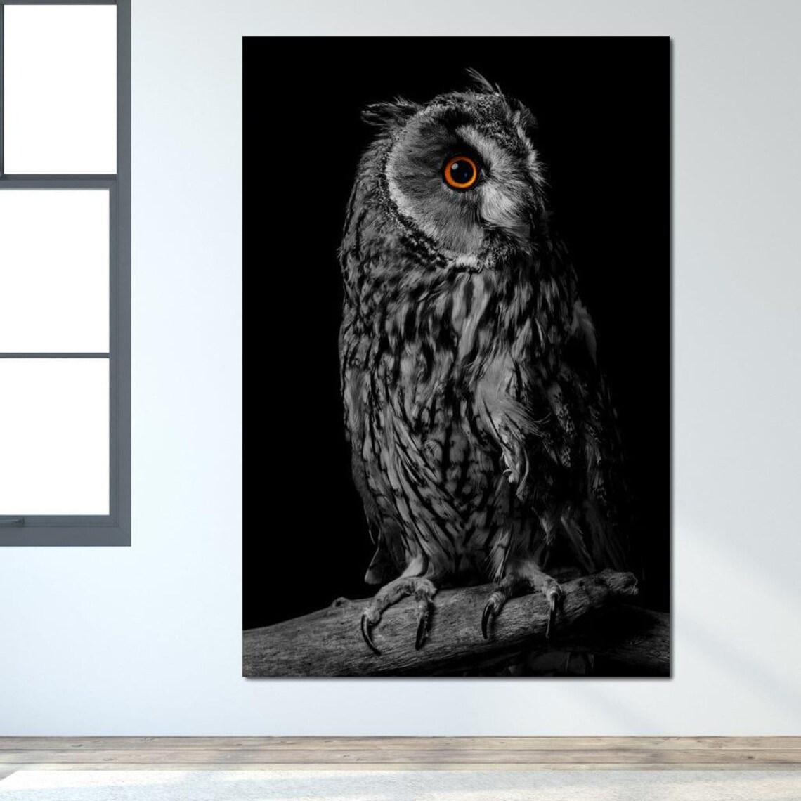 Black White Owl Orange Eye Perched Branch Wildlife Photography Poster - Image 3
