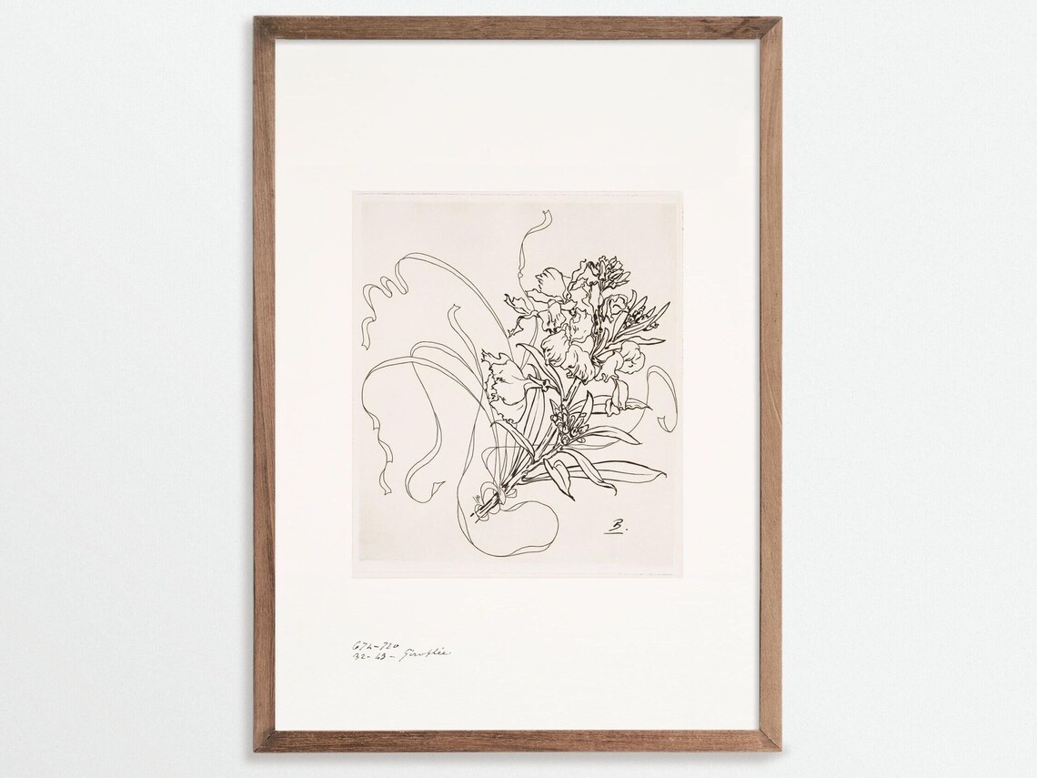 Antique Botanical Print, Girofle Wallflower Chinoiserie