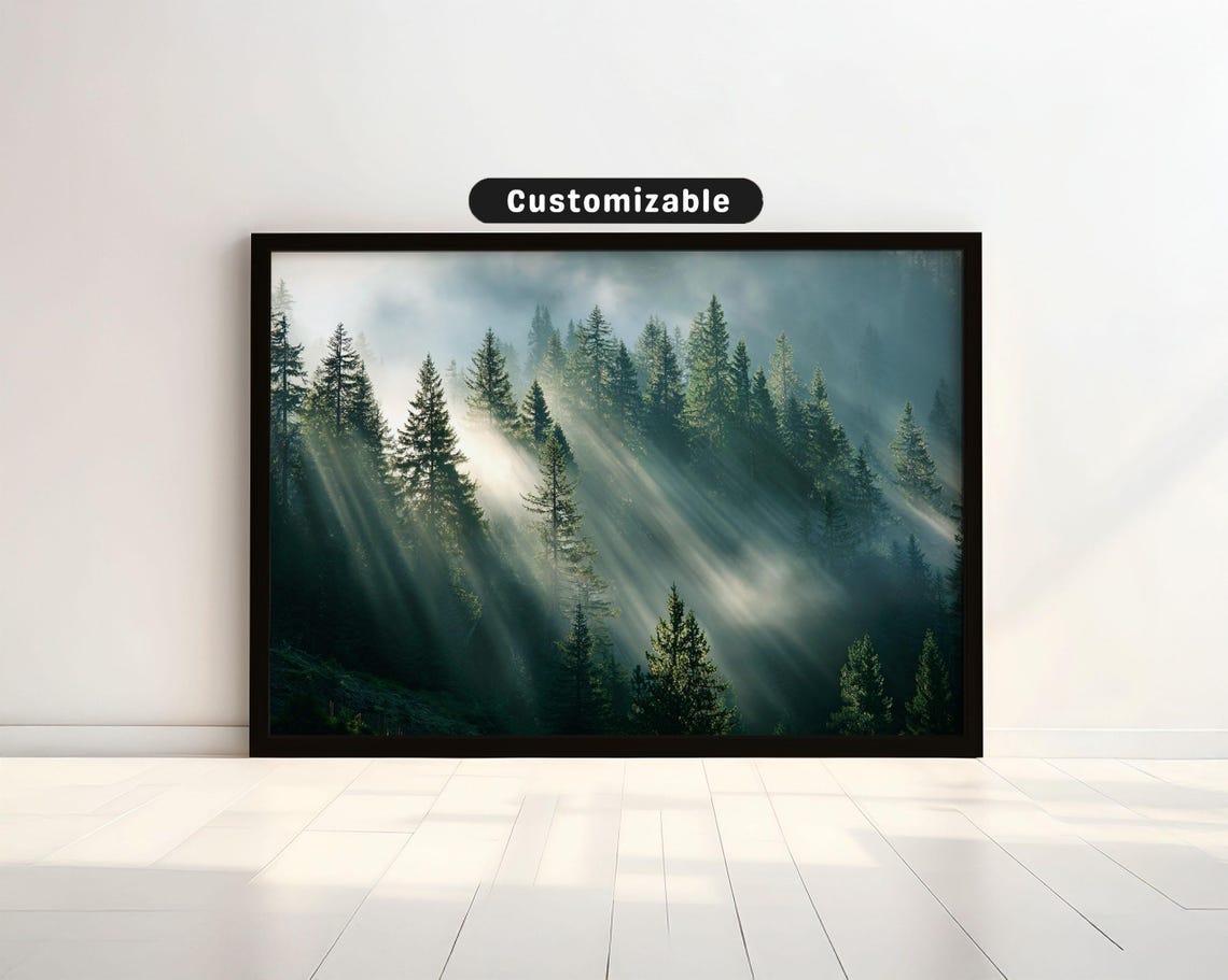 Sunbeams Filtering Through Misty Pine Forest Morning Light Photo Print