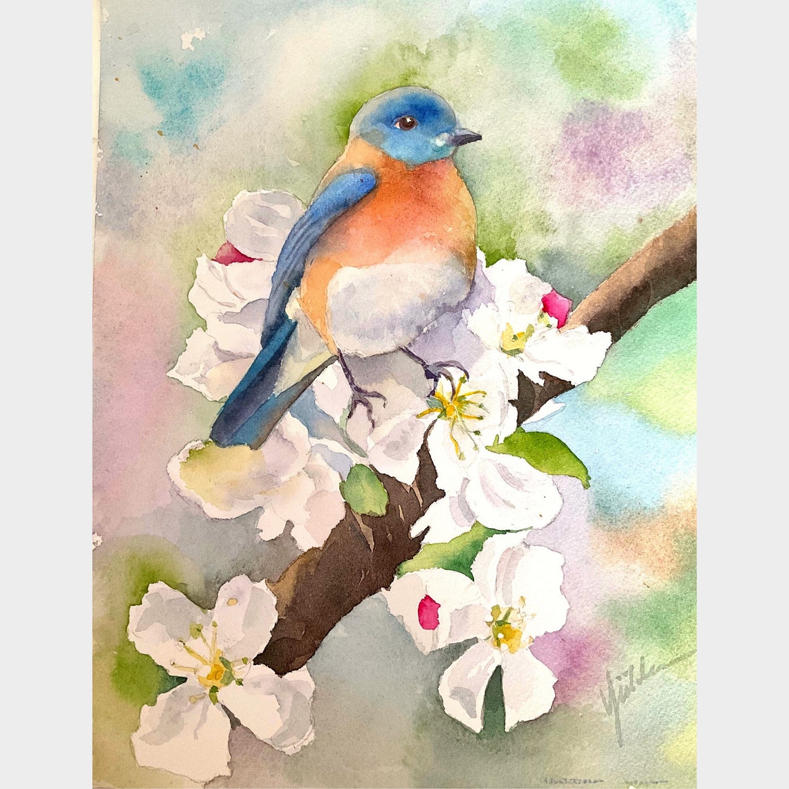Eastern Bluebird Perched on a Blossoming Branch in Watercolor Poster - Image 3