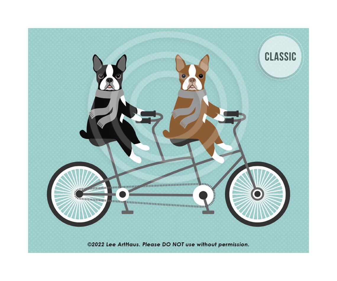 Two Boston Terriers Tandem Bicycle Ride Scarves Vintage Dog Poster