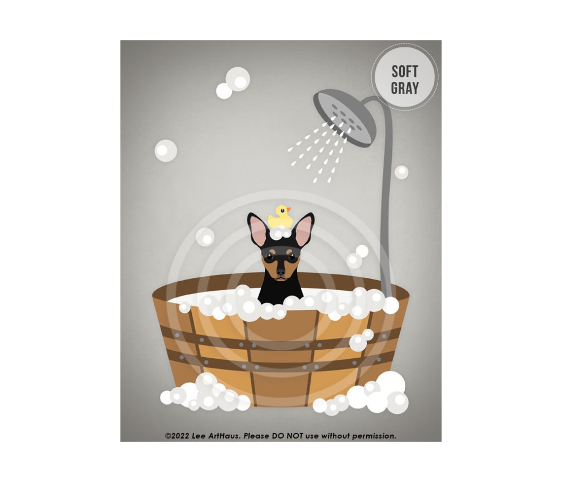 Miniature Pinscher In Wooden Tub Shower With Rubber Duck Bath Poster - Image 3
