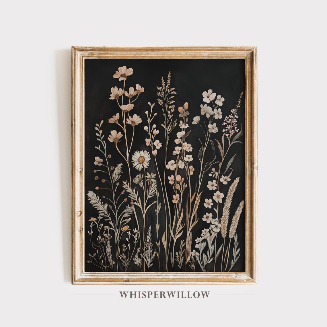 Wildflower Botanical Illustration on a Dark Black Background Poster