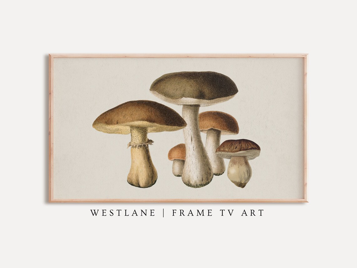 Autumn Country Farmhouse Vintage Mushroom Botanical Art Poster