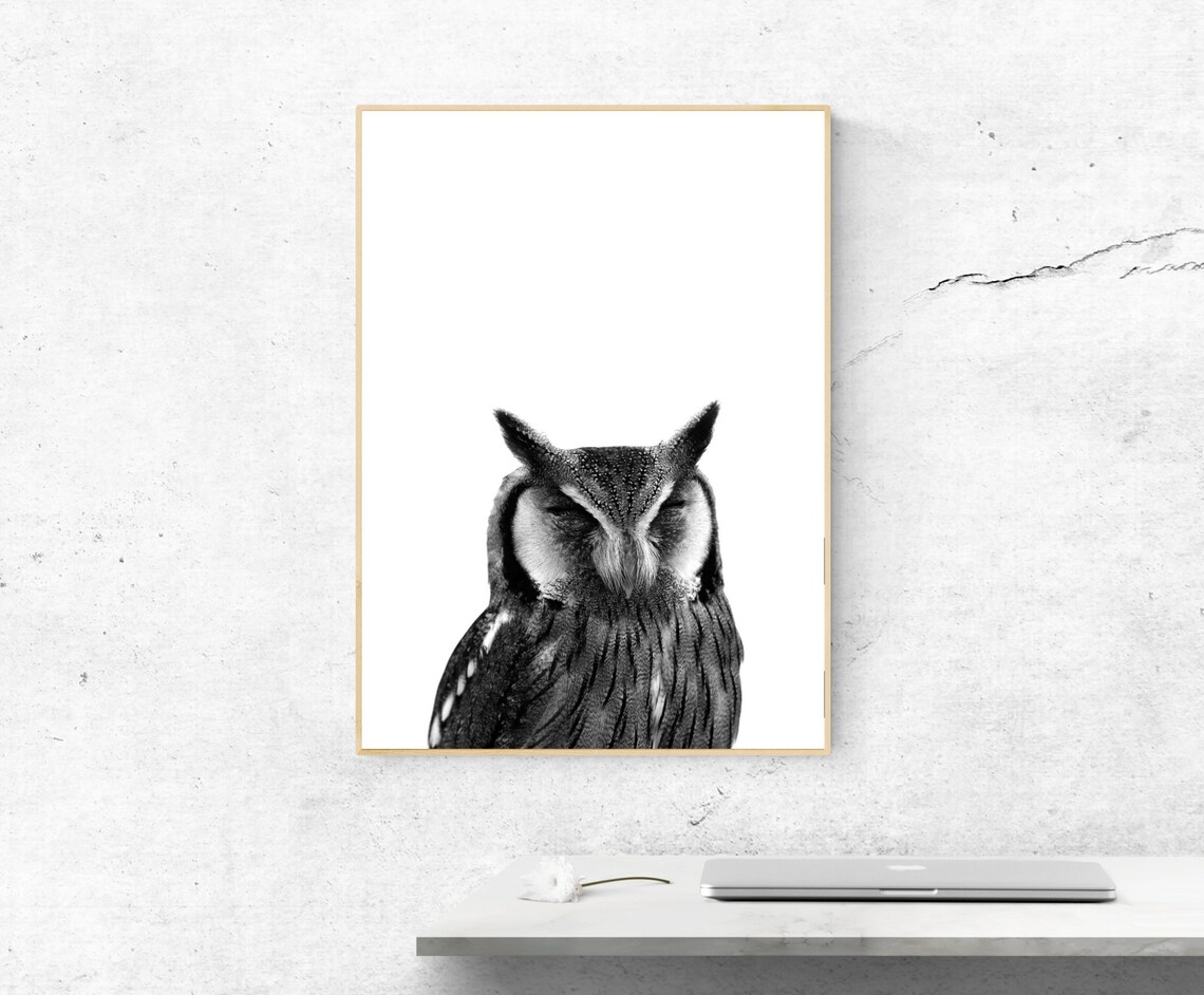 Sleepy Owl Black and White Minimalist Bird Portrait Art Print