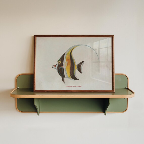 Hawaiian Fish Kihikihi Vintage Print Tropical Poster Antique Animal Painting Wall Art Decor