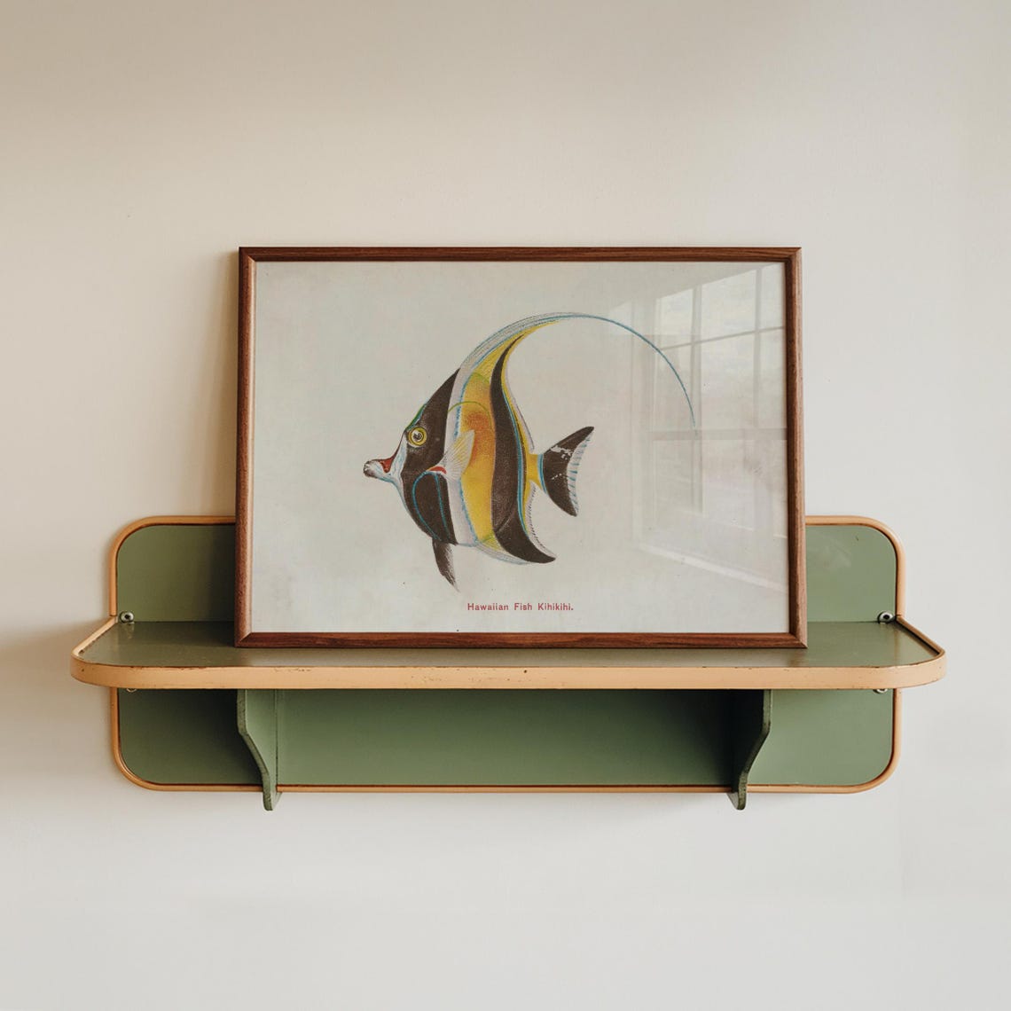 Hawaiian Kihikihi Fish Vintage Scientific Illustration Art Poster