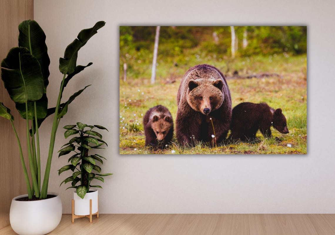 Brown Bear Mother Two Cubs Wildlife Forest Photography Art Poster - Image 3
