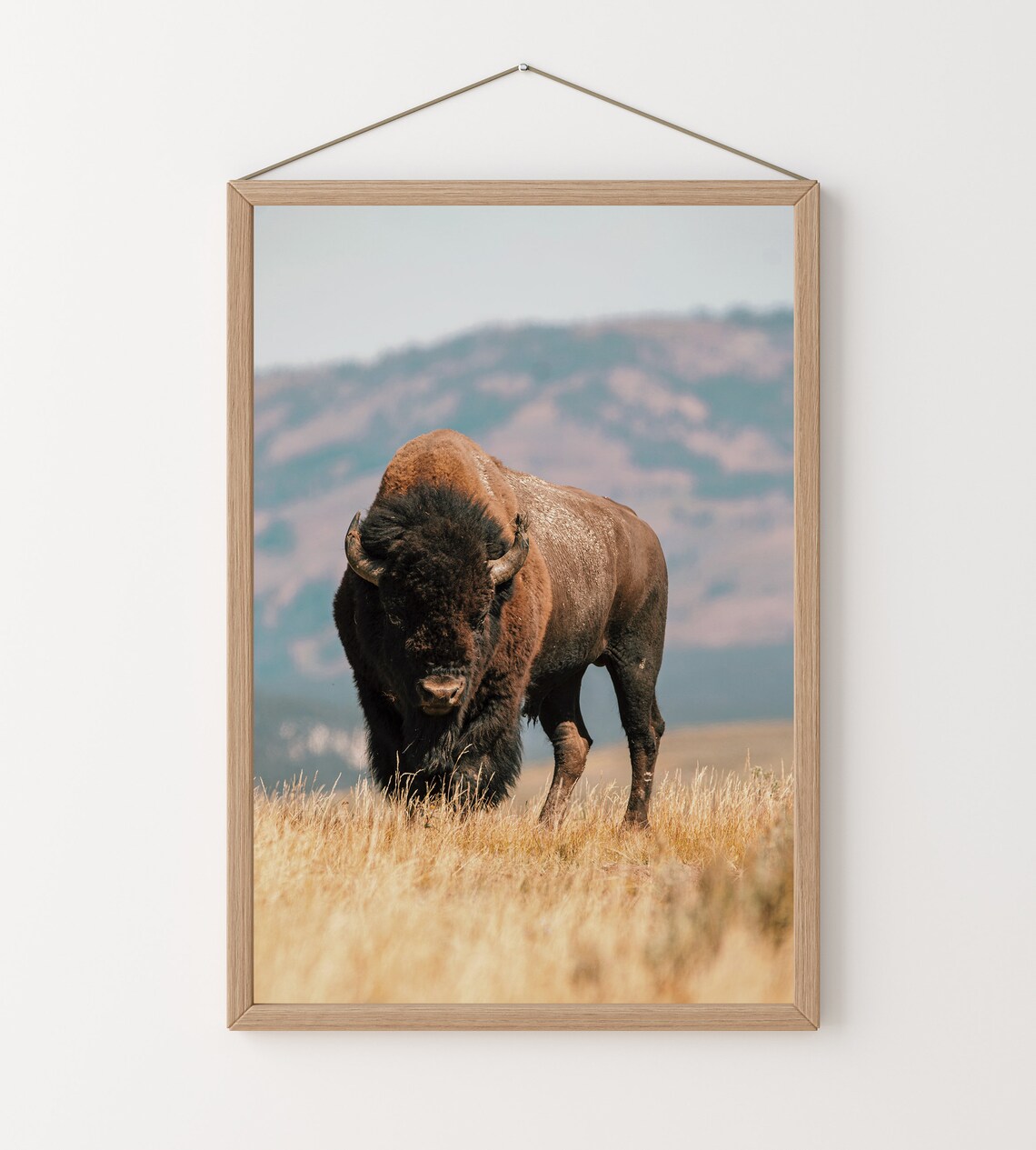 Buffalo Print, Southwestern Farmhouse Wall Art - Image 2