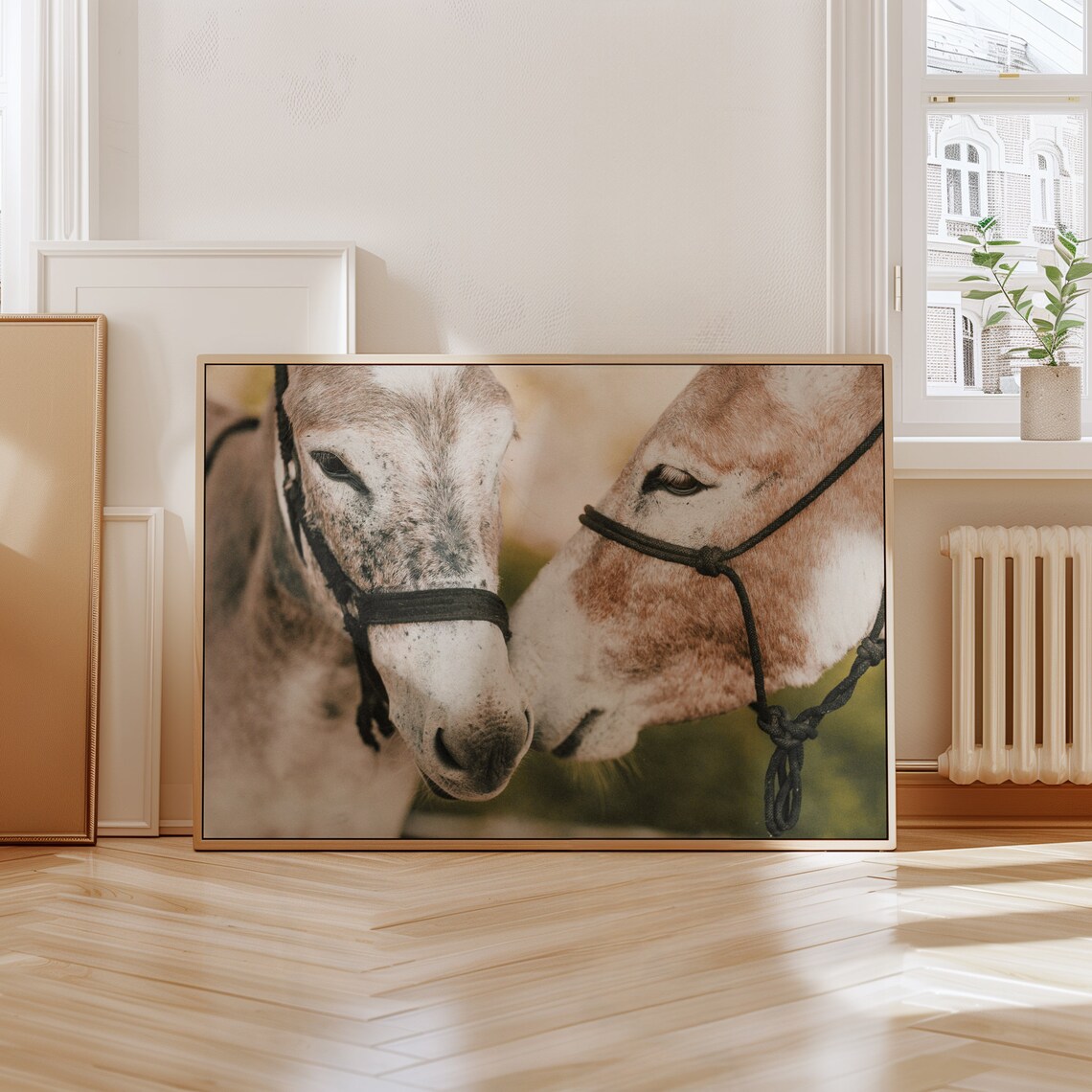 Two Mexican Burros Close Up Donkey Portrait Rustic Farm Photo Poster - Image 4