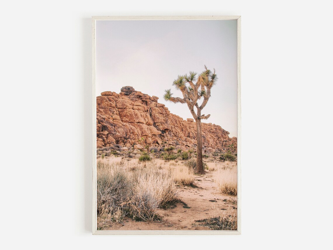 Joshua Tree Desert Cactus Southwestern Art Print