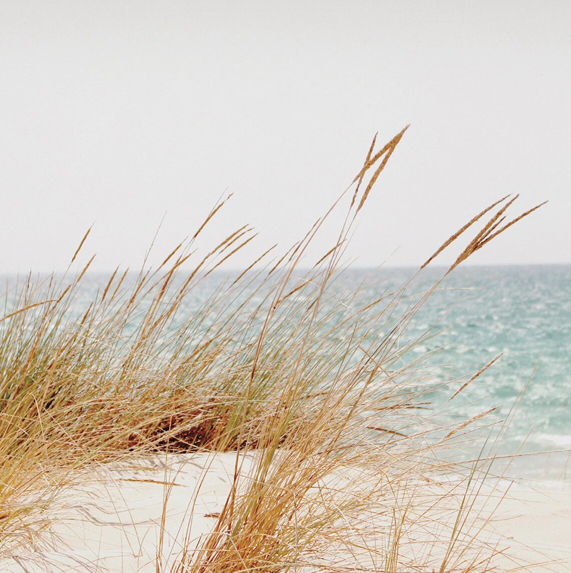 Beach Grass Art Print, Coastal Summer Decor - Image 2