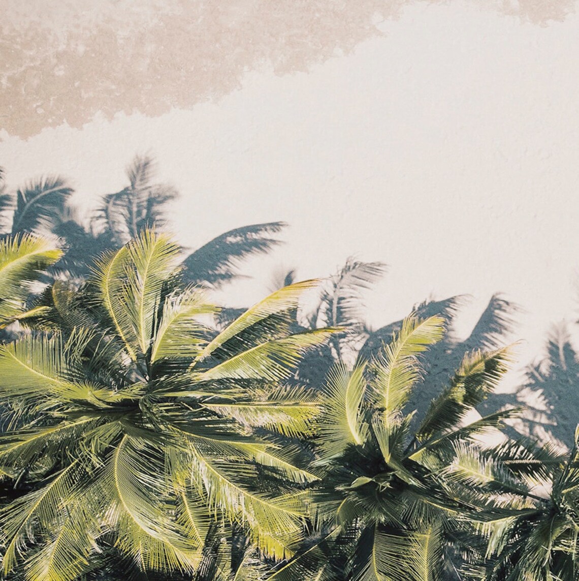 Aerial Palm Canopy White Sand Shadows Tropical Overhead Travel Poster - Image 2