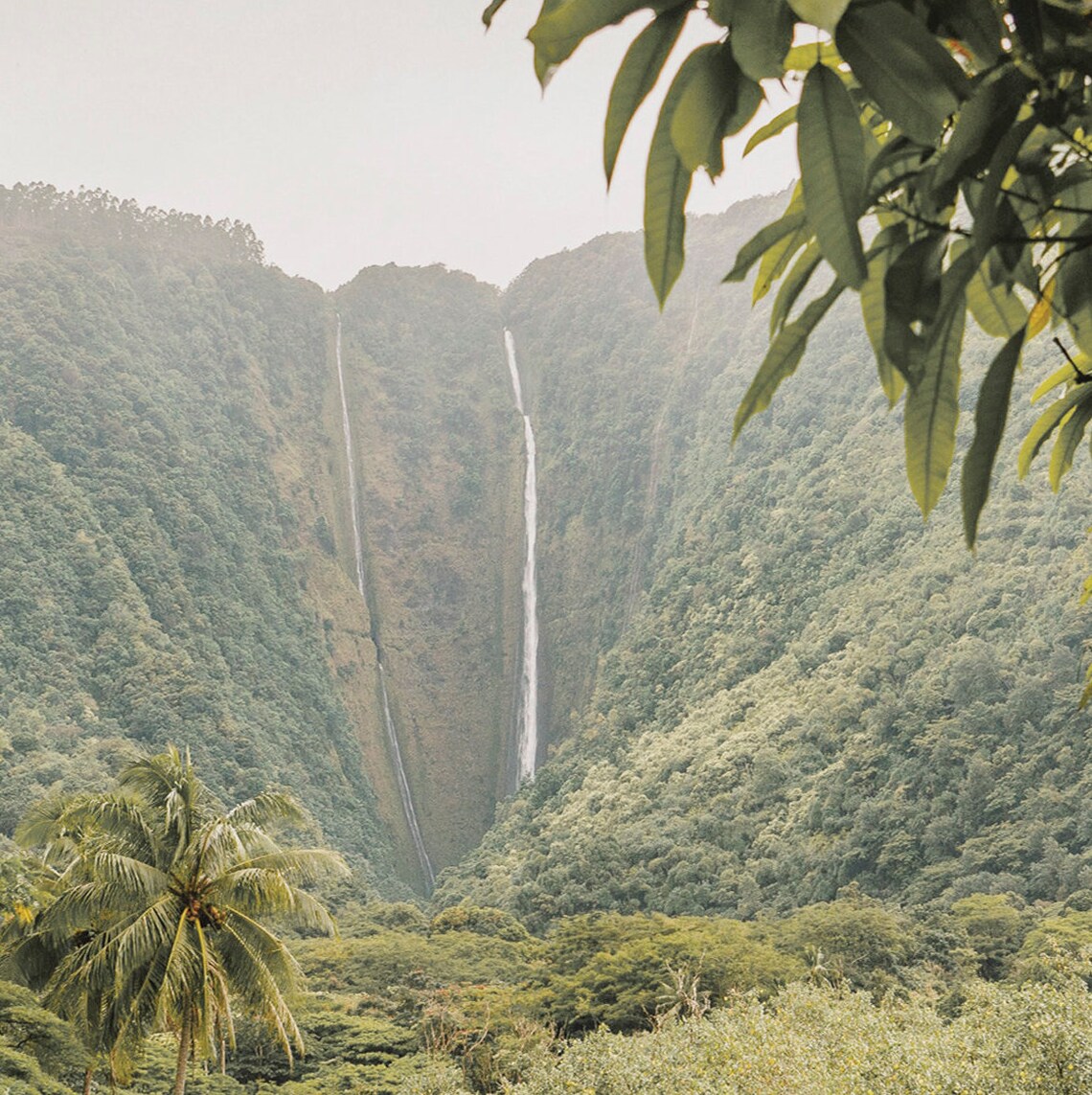 Hawaii Landscape Tropical Jungle Art Print - Image 2