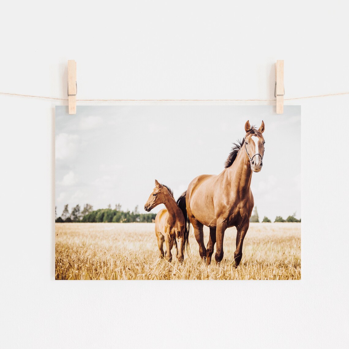Horse Wall Art, Horses In Field Farmhouse Art Print - Image 2