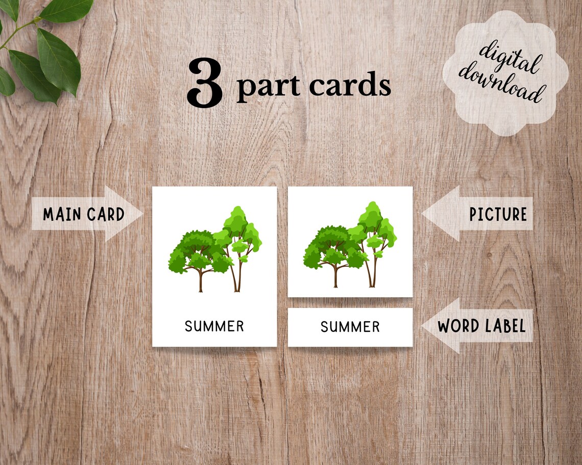 4 Seasons Flash Cards, Montessori Learning Print - Image 2