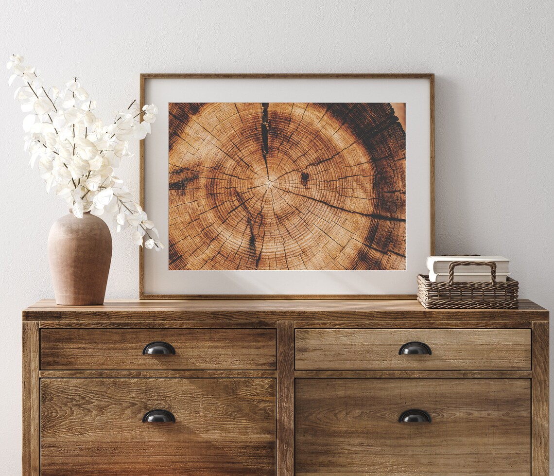 Tree Ring Photo, Rustic Home Decor Art Print - Image 3