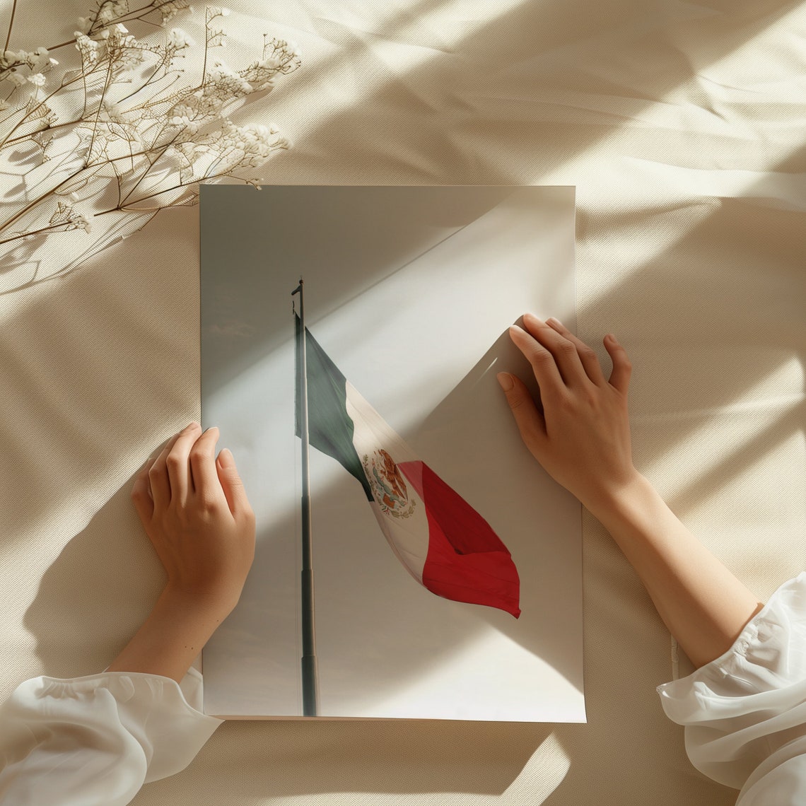 Mexico Heritage Six Piece Gallery Set Agave Cactus Flag Burro Poster - Image 3