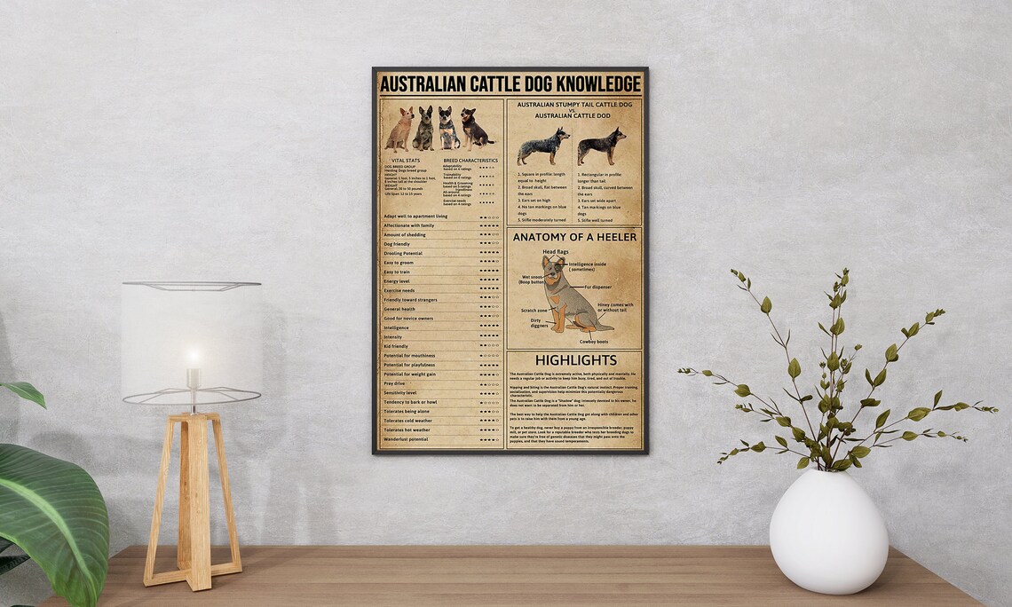 Australian Cattle Dog Knowledge, Vintage Poster Print - Image 2