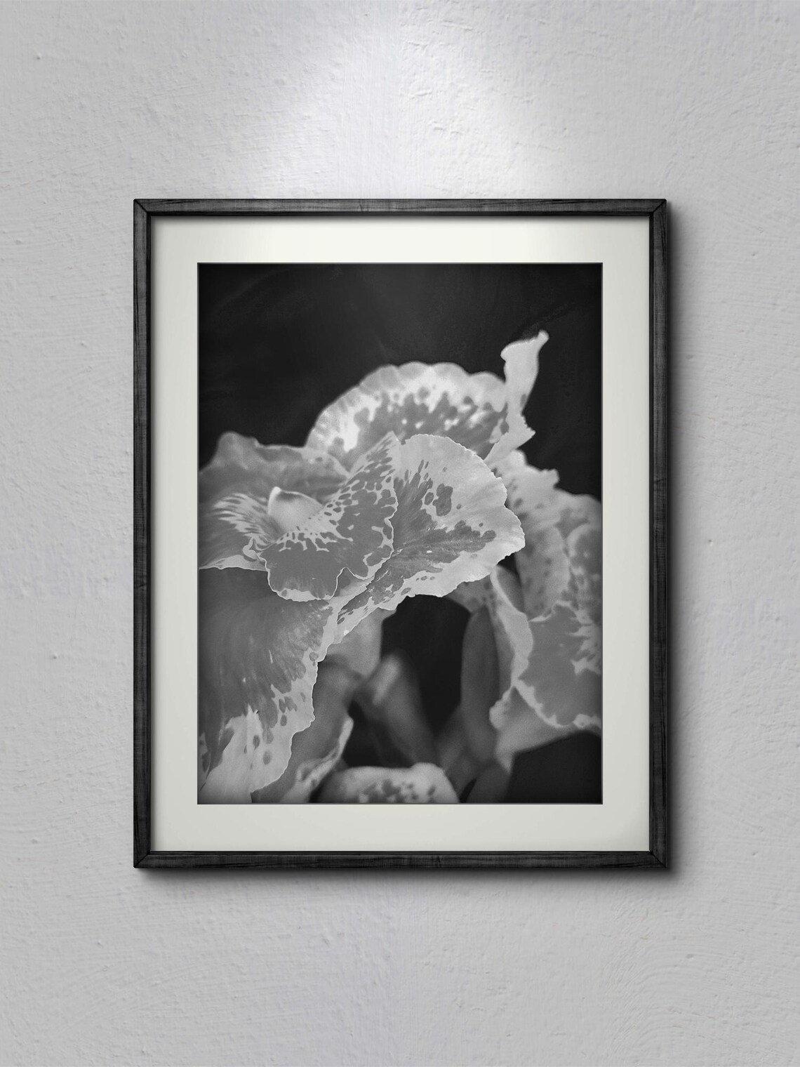 Iris Photograph, Elegant Floral Art Print