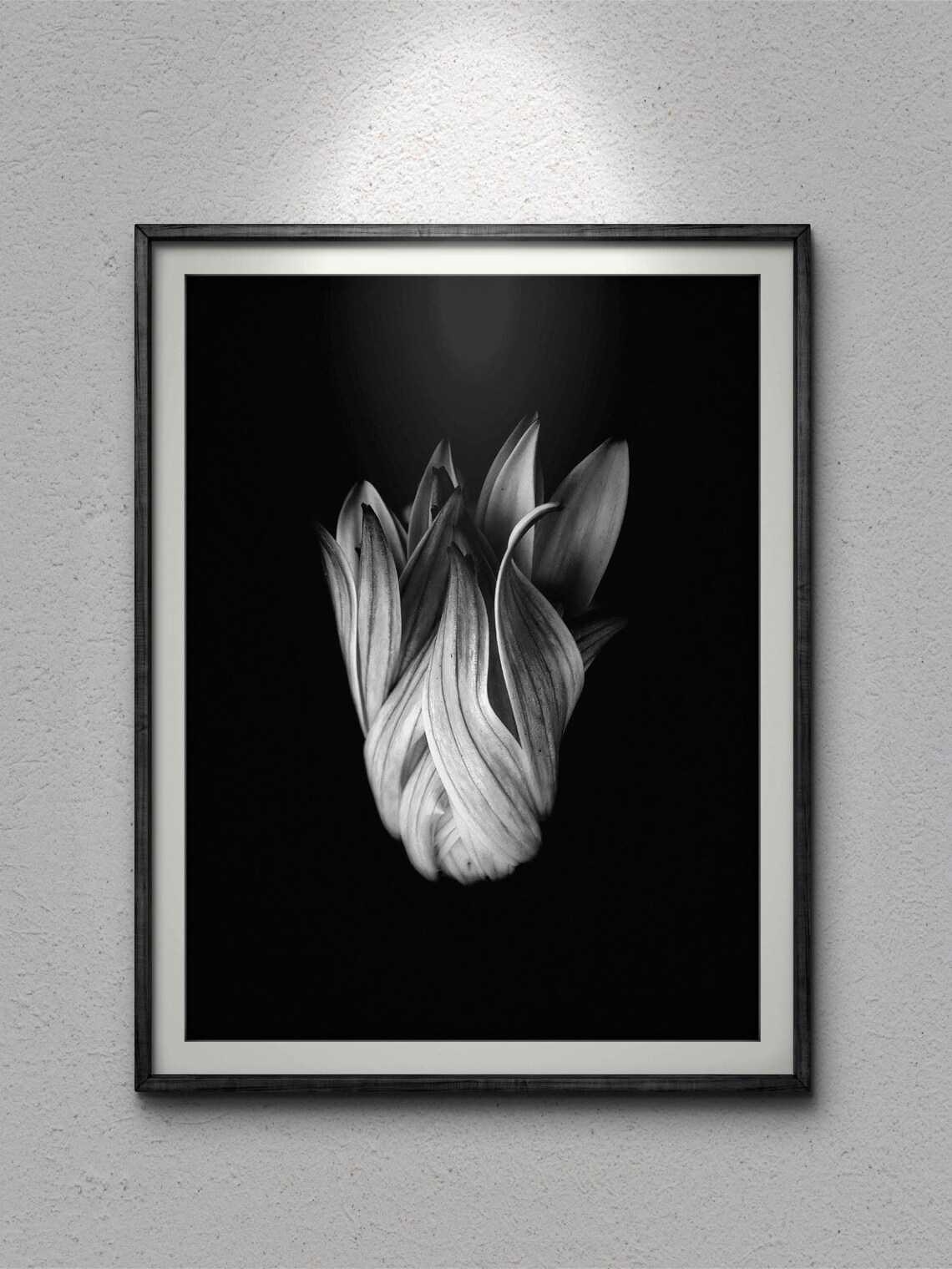 Black And White Flower Bud Photograph, Floral Art - Image 3