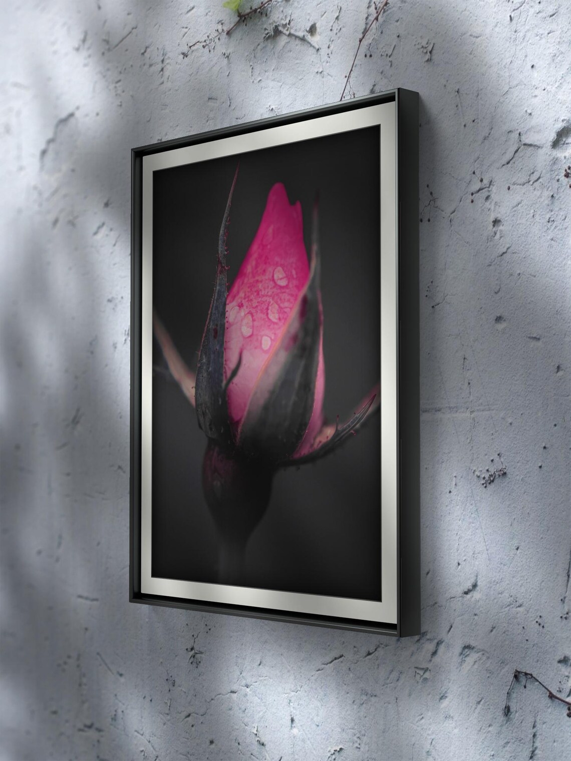 Rose Photography, Botanical Floral Wall Art Print - Image 2