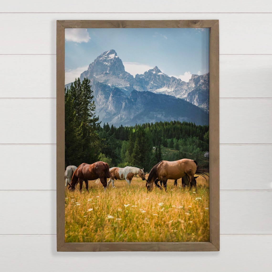 Horses Grazing Below Grand Teton Peak Golden Meadow Photo Poster