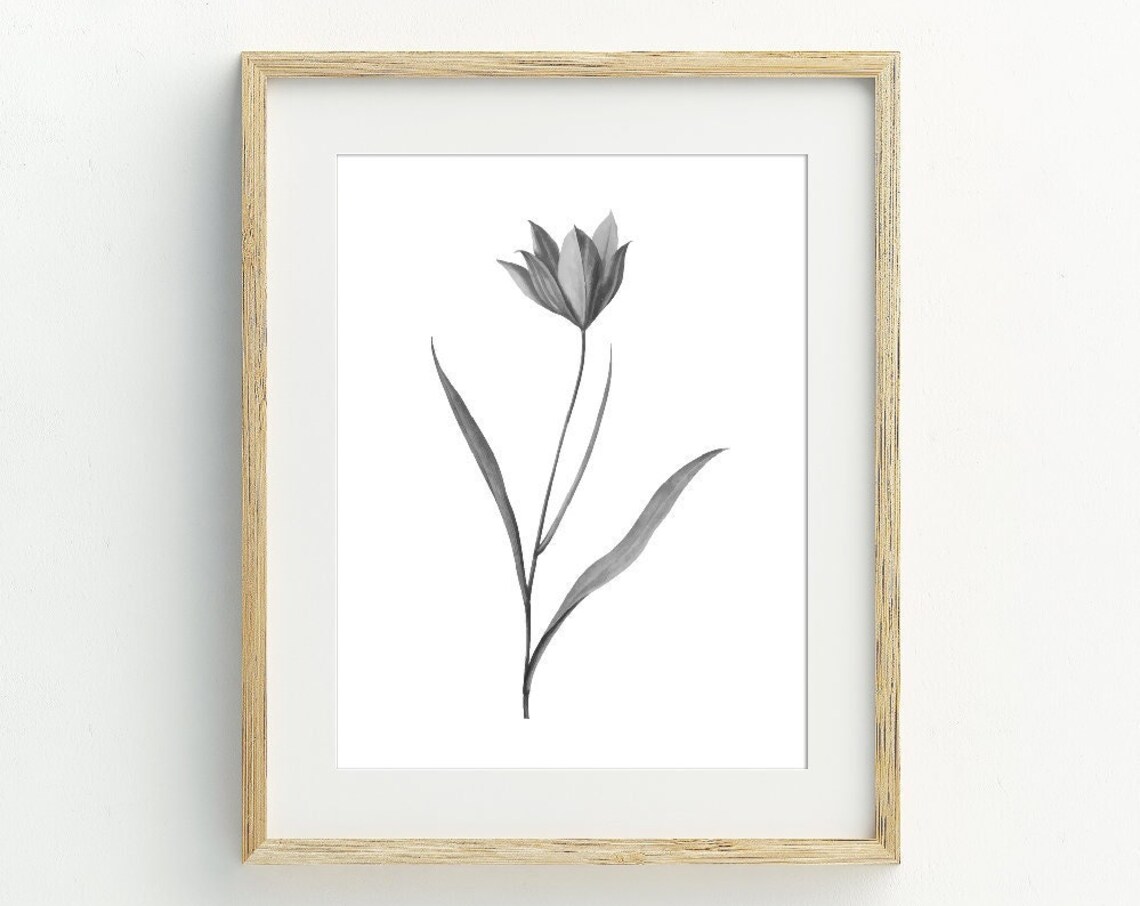 Black And White Tulip Print, Farmhouse Floral Art - Image 2