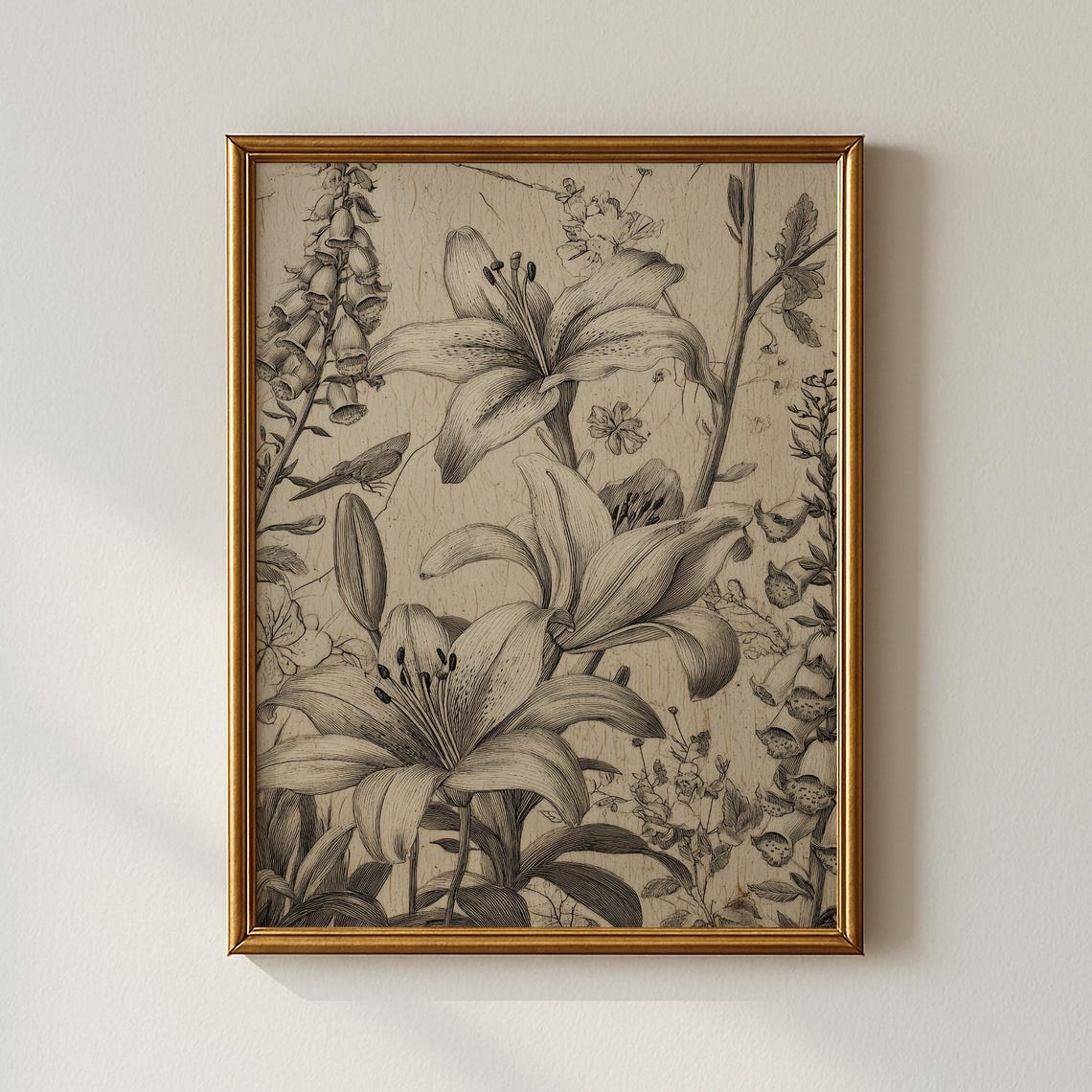 Vintage Lily Flower Botanical Engraving Art Print Classic Style