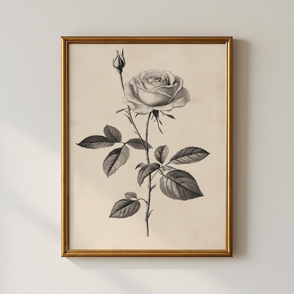 Vintage Rose Botanical Sketch Single Bloom Engraving Style Art Poster