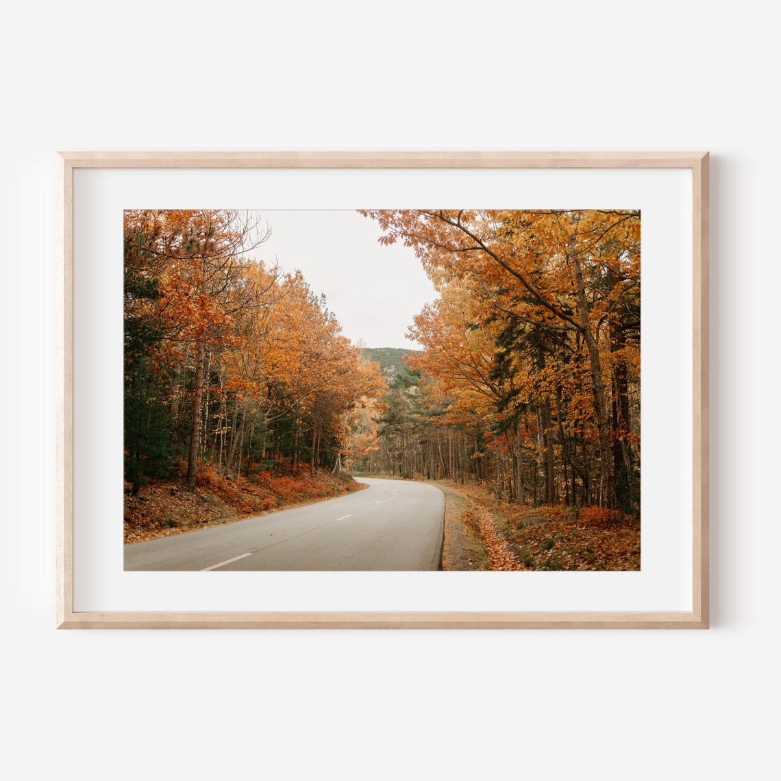 Winding Road Through a Golden Autumn Forest Fall Scenery Poster