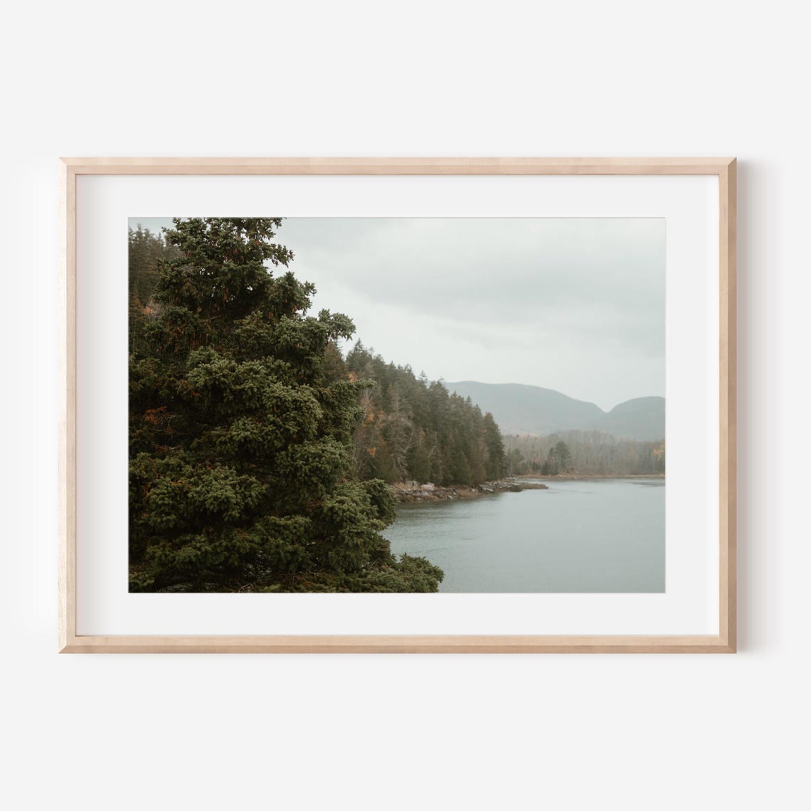 Moody Evergreen Forest Along a Misty Maine Lake Shore Poster