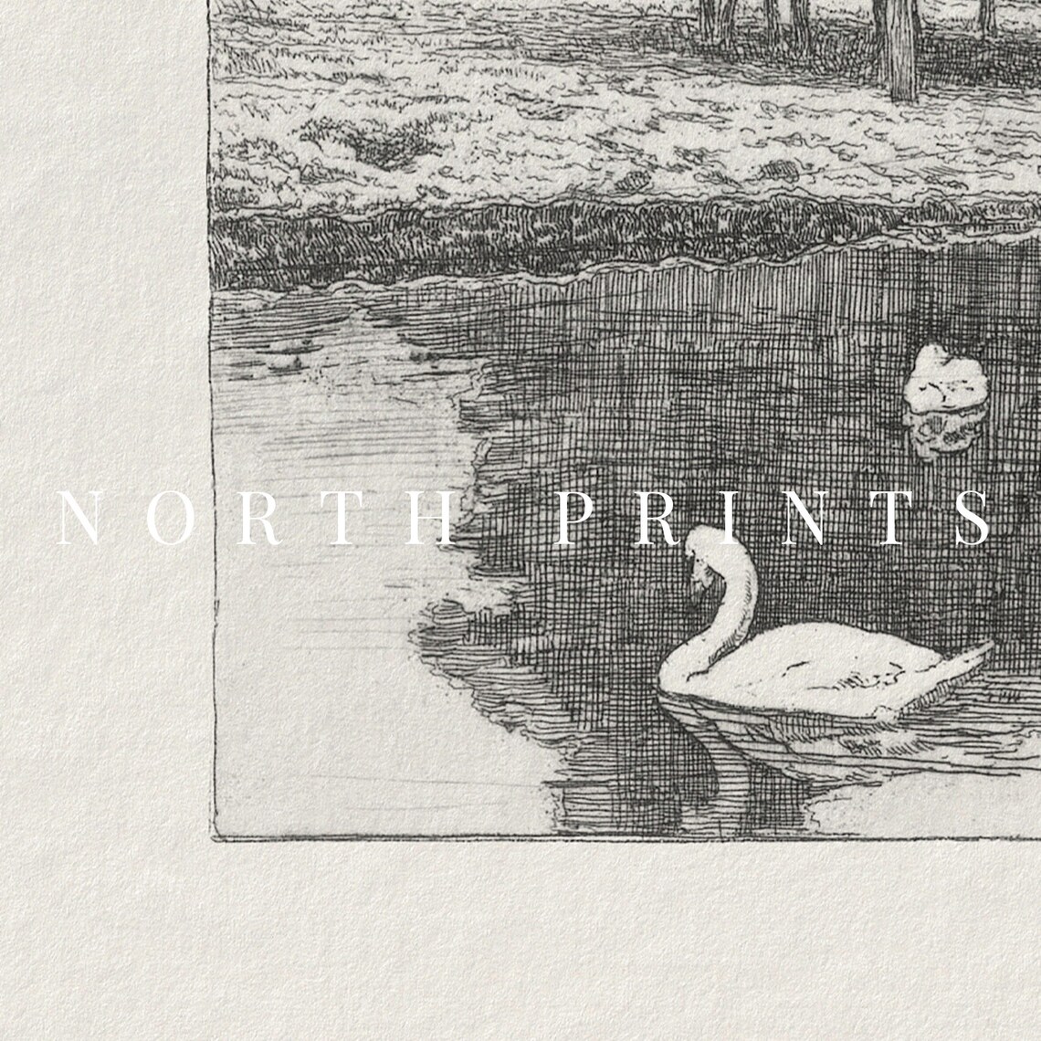 Swan Country Pond Sketch, Farmhouse Nursery Art Print - Image 2