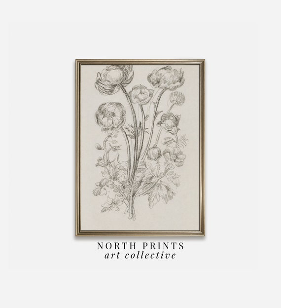 Antique Neutral Flower Sketch, Rustic Botanical Art Print