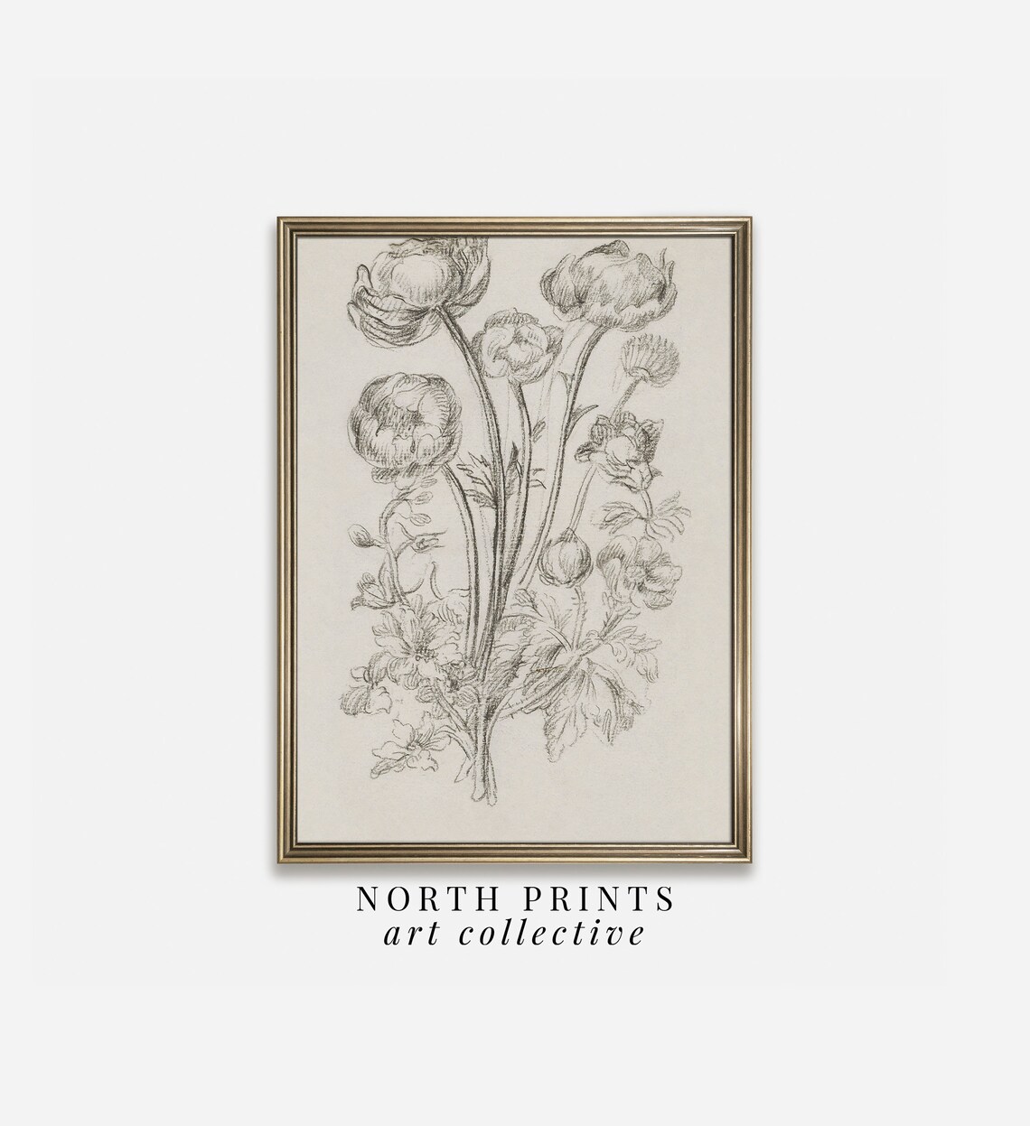 Antique Neutral Flower Sketch, Rustic Botanical Art Print