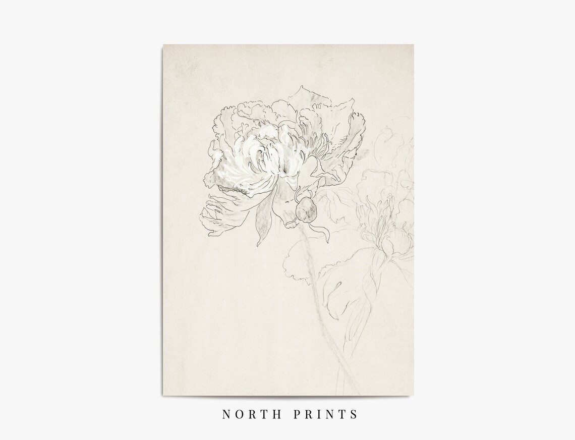 Flower Sketch Vintage Botanical Line Drawing Art Print - Image 2