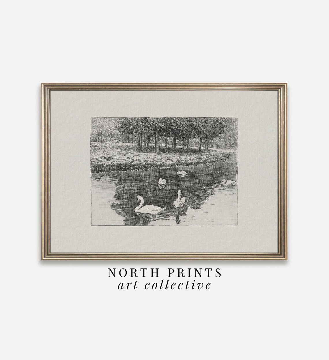 Swan Country Pond Sketch, Farmhouse Nursery Art Print